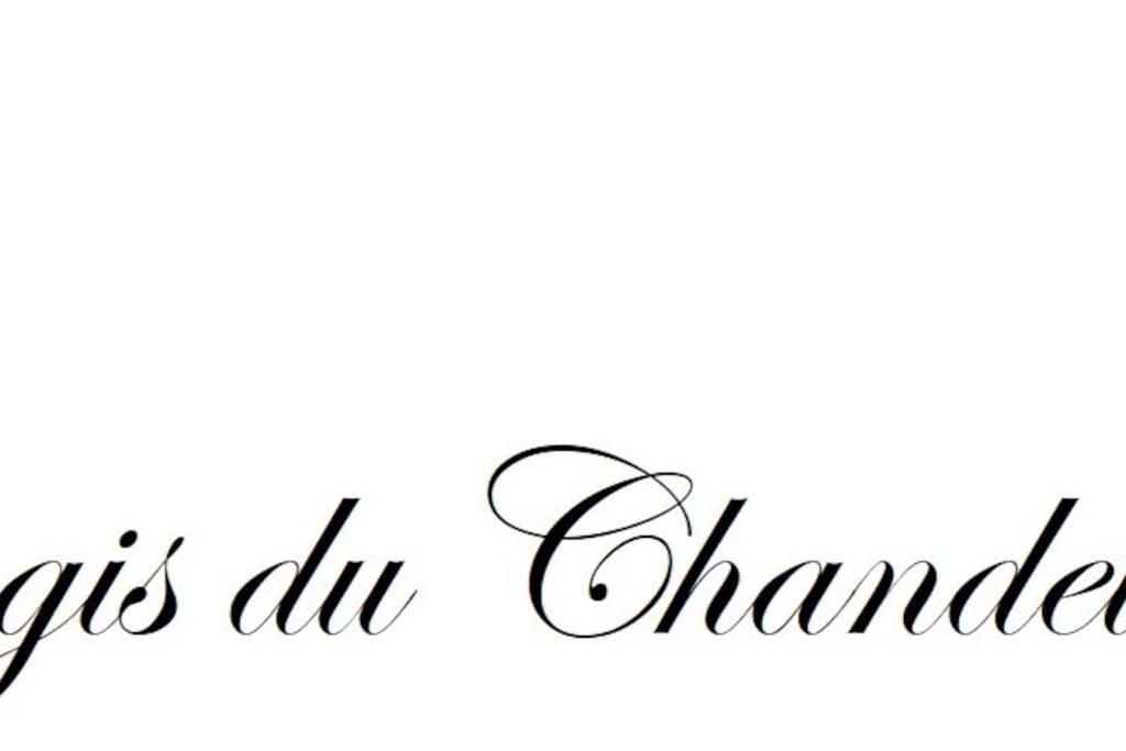 Logis Du Chandelier Le Puy-en-Velay Zewnętrze zdjęcie